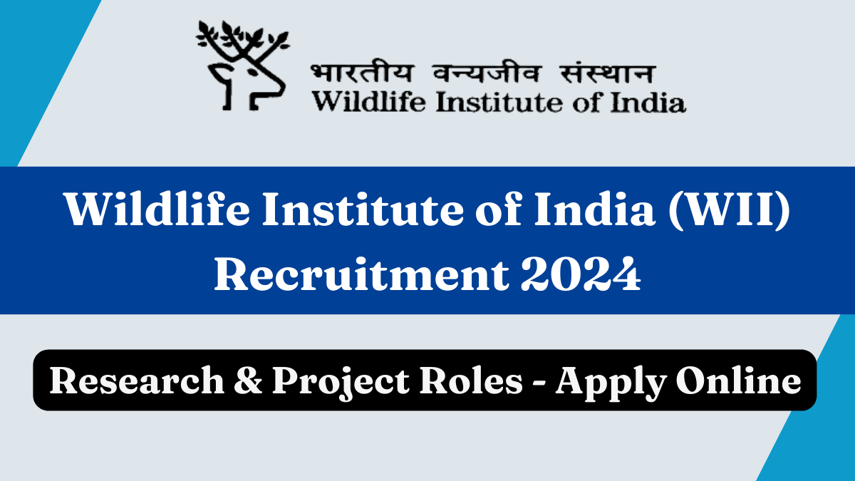 Wildlife Institute of India (WII) Recruitment 2024